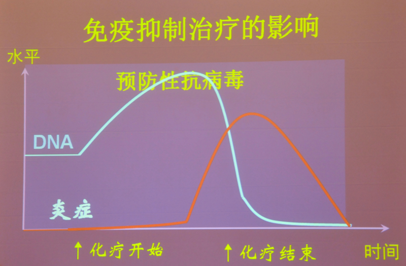 肝炎新進展揭秘，小巷深處的秘密小店探索