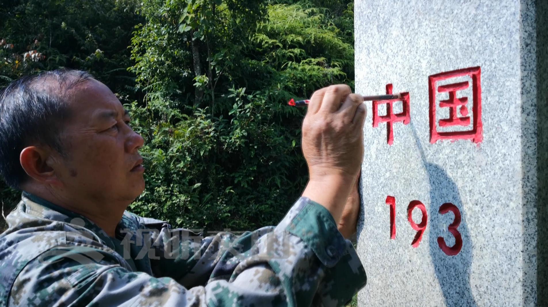 文山黃牛打架比賽，傳統(tǒng)與爭議的碰撞