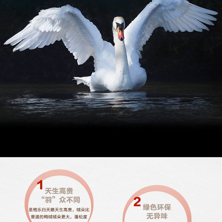 探索小巷羽絨寶藏，90白鵝絨價(jià)格與溫暖故事