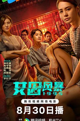 淘君爹最新影片，小巷深處的電影寶藏探索