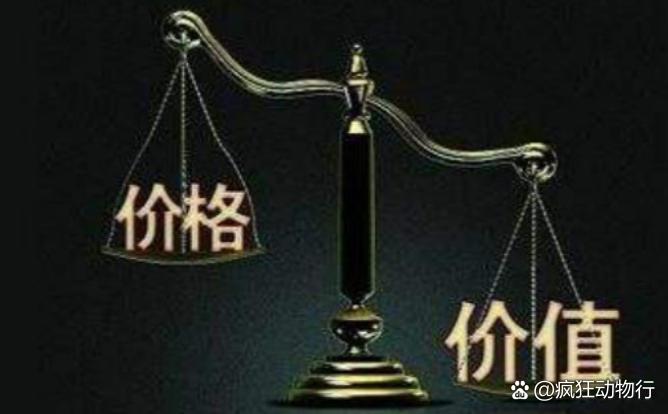 價格與價值解析，差異何在？
