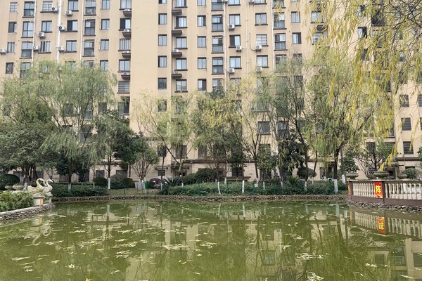 中豪明珠城最新價格，時代印記與城市的脈動
