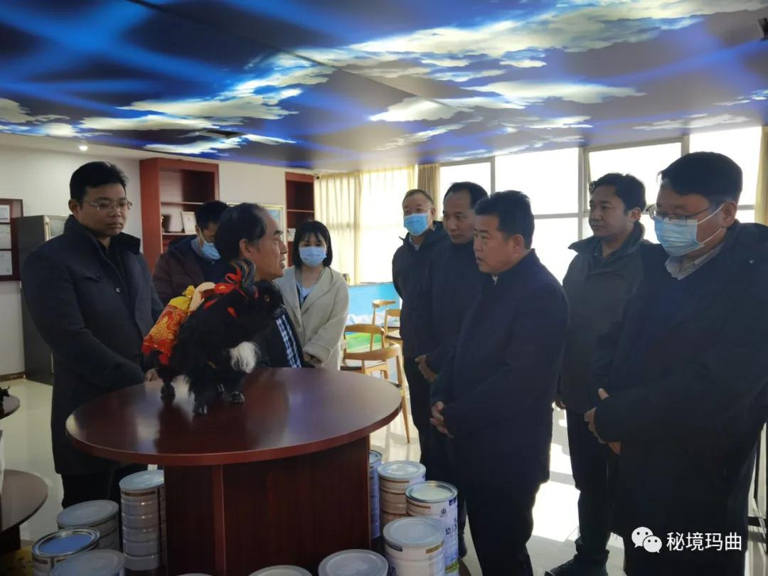 高原之寶上市，學(xué)習(xí)、蛻變與自信的輝煌之旅