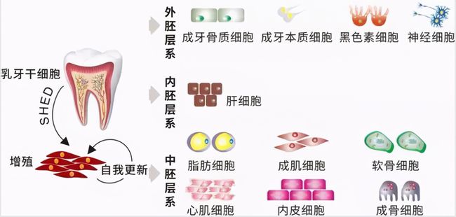 廣場(chǎng)燈具 第189頁