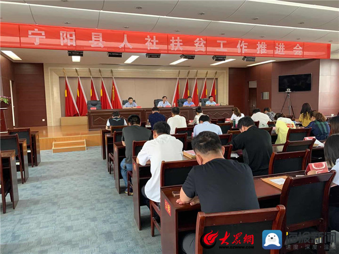 寧陽網(wǎng)最新資訊，城市中的溫情日常