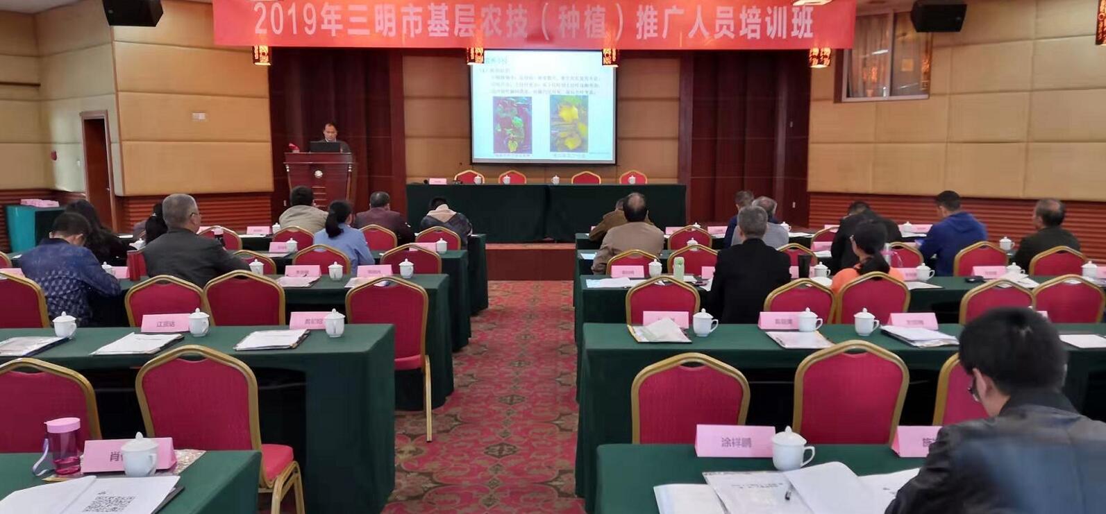 豇豆最新，廚房中的友情與家的溫馨