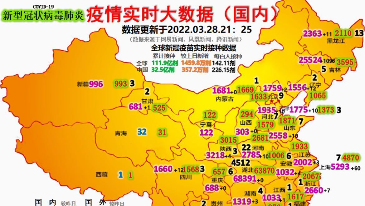 最新疫情動(dòng)態(tài)詳解，初學(xué)者與進(jìn)階用戶的步驟指南