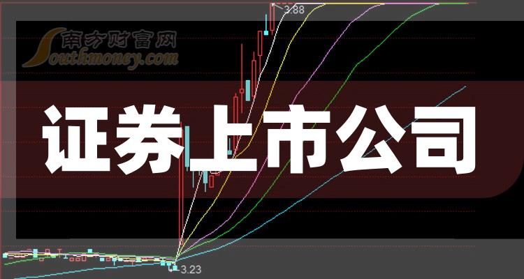科技巨頭引領(lǐng)下的全新視界，股票上市公司概覽