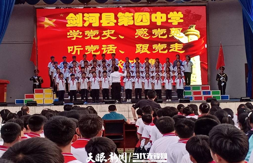 青蛙與狗的泳池挑戰(zhàn)，揭秘游泳比賽背后的故事，青蛙夢工廠的秘密探索