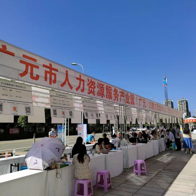 廣元最新招聘資訊詳解，觀點(diǎn)闡述與解析