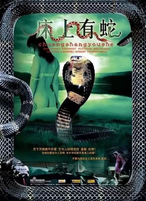 最新蛇片，蛻變的旅程，召喚自信與成就感的冒險(xiǎn)之旅