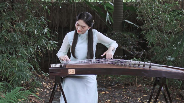 抖音最新琵琶演奏，古典與現(xiàn)代的完美融合之美