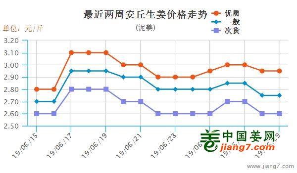 安丘大姜最新行情，機遇與自我超越的探尋之旅