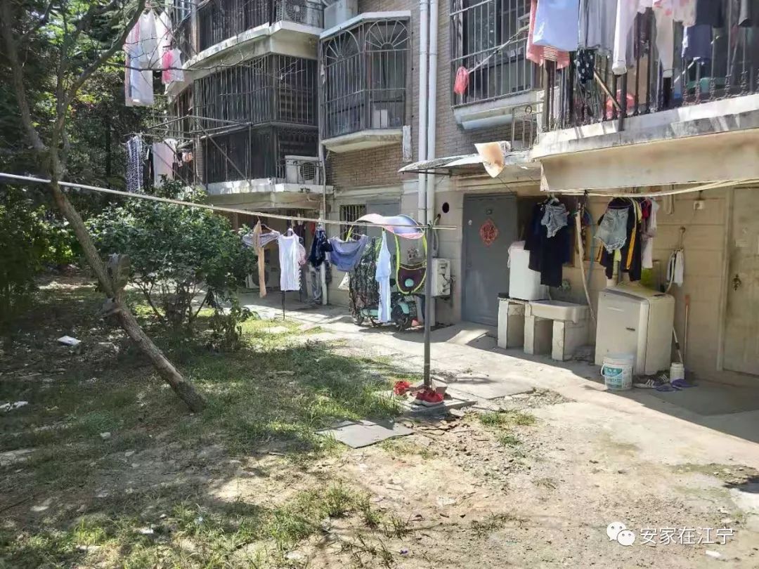 最新大雜亂時代，混沌與秩序的重建之路