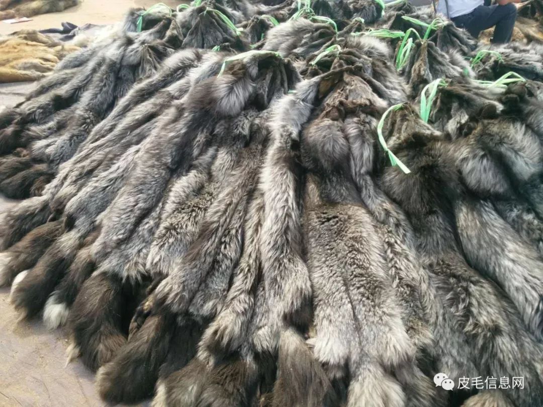 貉皮尚村最新價格，小巷中的時尚皮草寶藏探索