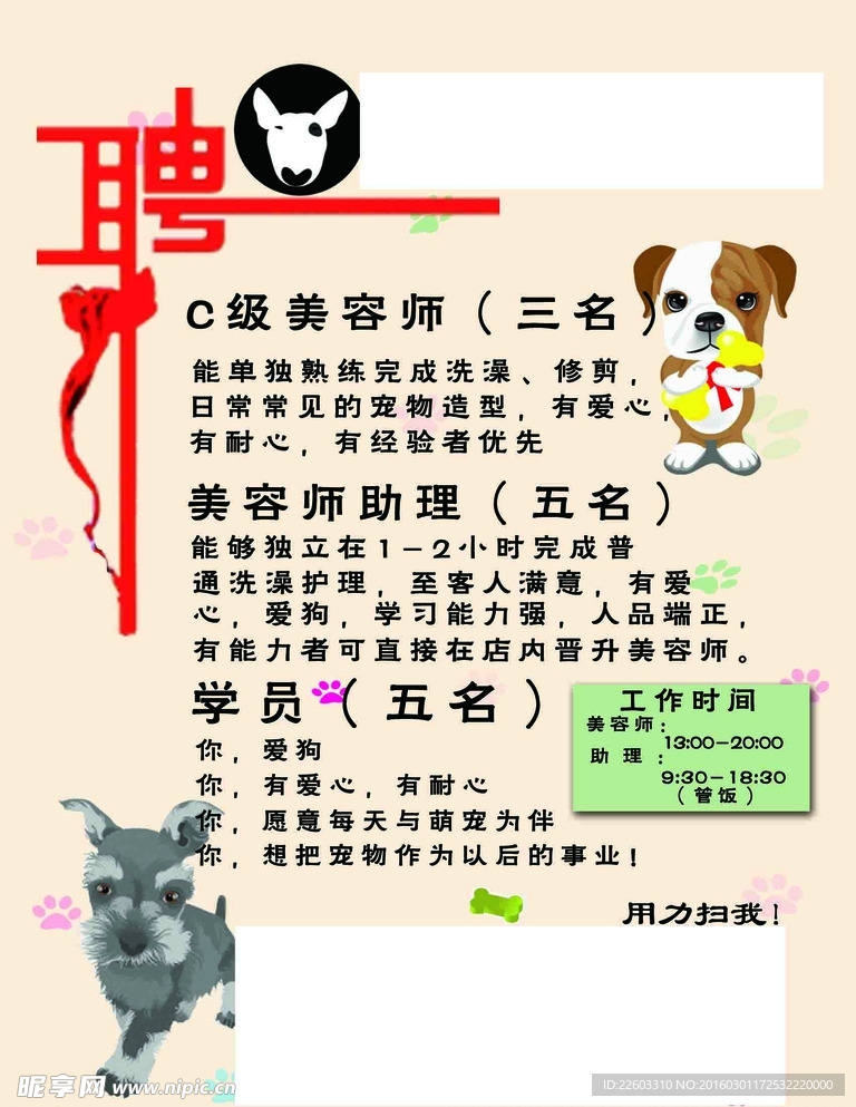 寵物店招聘最新動(dòng)態(tài)，共探自然之美，尋求內(nèi)心寧靜