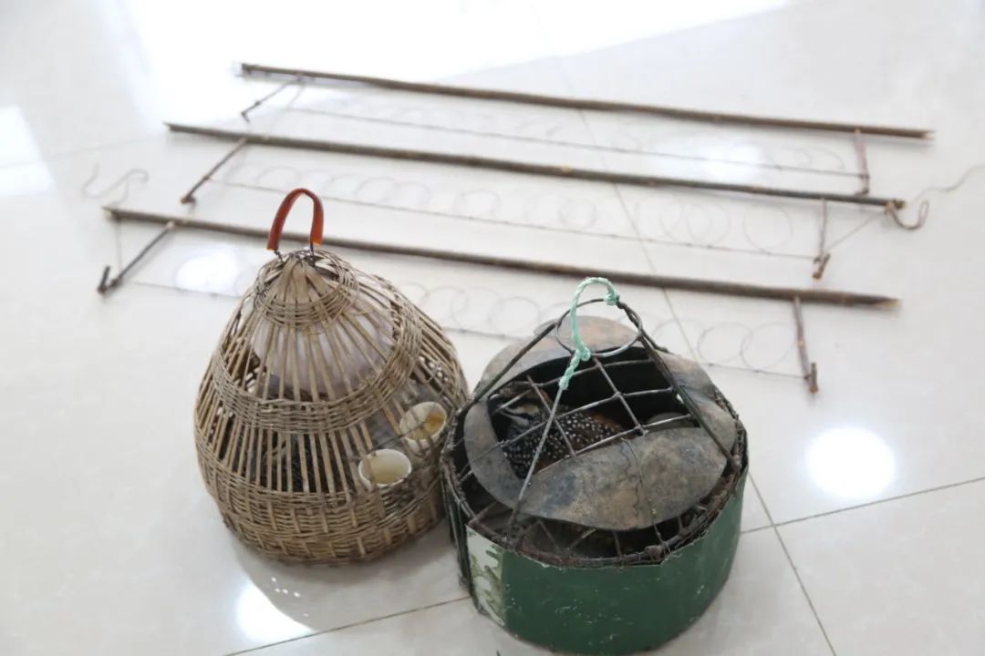 小巷中的神秘寶藏揭秘，最新捕鳥工具揭秘