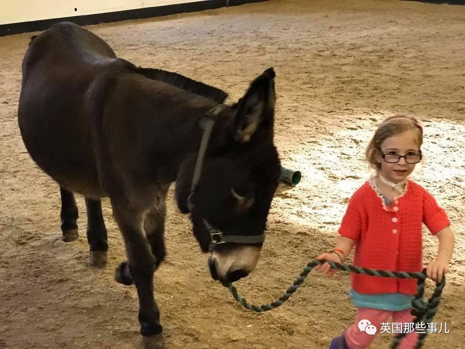 二驢子最新事件揭秘，事件全貌大揭秘！