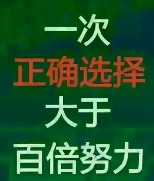 寧陽最新招聘信息港，科技引領，職位信息觸手可及