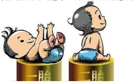 最新雙胞胎補助政策，攜手同行，助力孕育夢想之路