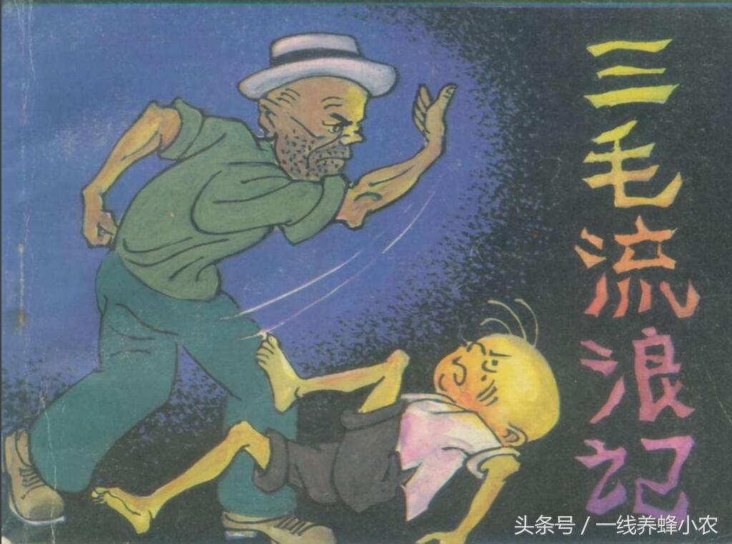 上海三毛最新動(dòng)態(tài)，自然美景探索之旅啟幕