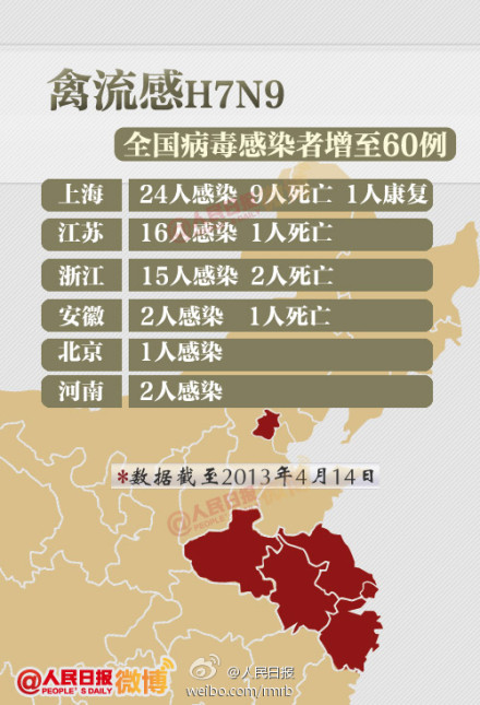 山東禽流感最新動態(tài)，友情與陪伴的溫馨故事