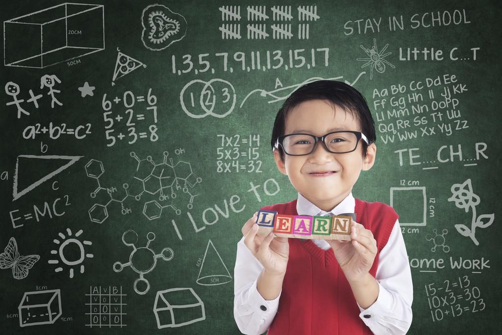 小學(xué)數(shù)學(xué)最新課程標(biāo)準(zhǔn)，深度解析與觀點(diǎn)闡述