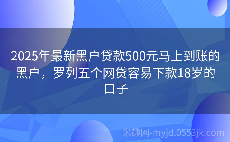 2025年黑戶最新口子申請(qǐng)指南，初學(xué)者與進(jìn)階用戶通用步驟