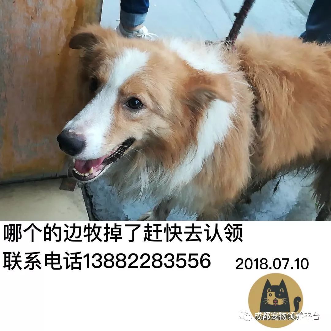LED光源 第91頁(yè)