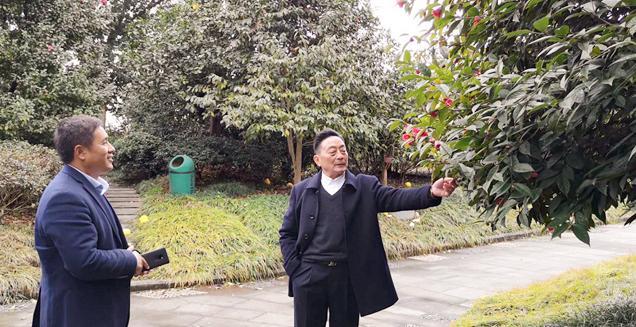 最新花木求購(gòu)，開(kāi)啟一場(chǎng)尋綠之旅的溫馨旅程