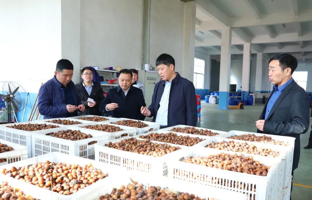 建寧最新新聞，城市溫馨日常與友情力量的展現(xiàn)