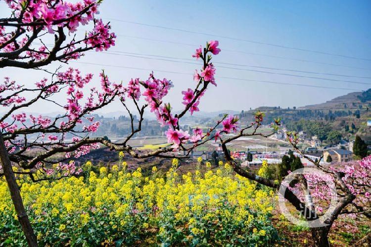 合川最新科技新聞，高科技產(chǎn)品引領(lǐng)未來生活潮流