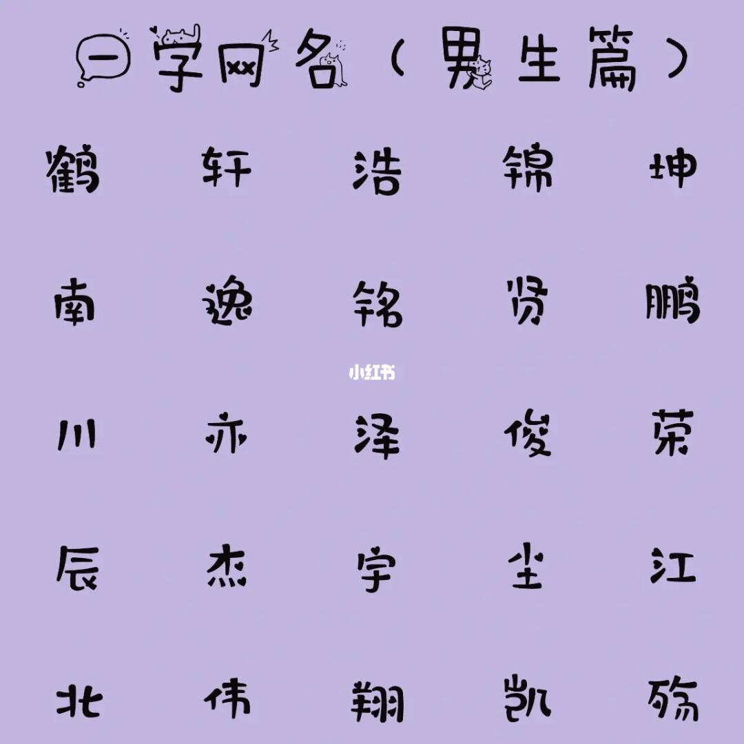 最新男生網(wǎng)名，時(shí)代潮流與虛擬身份的完美融合塑造