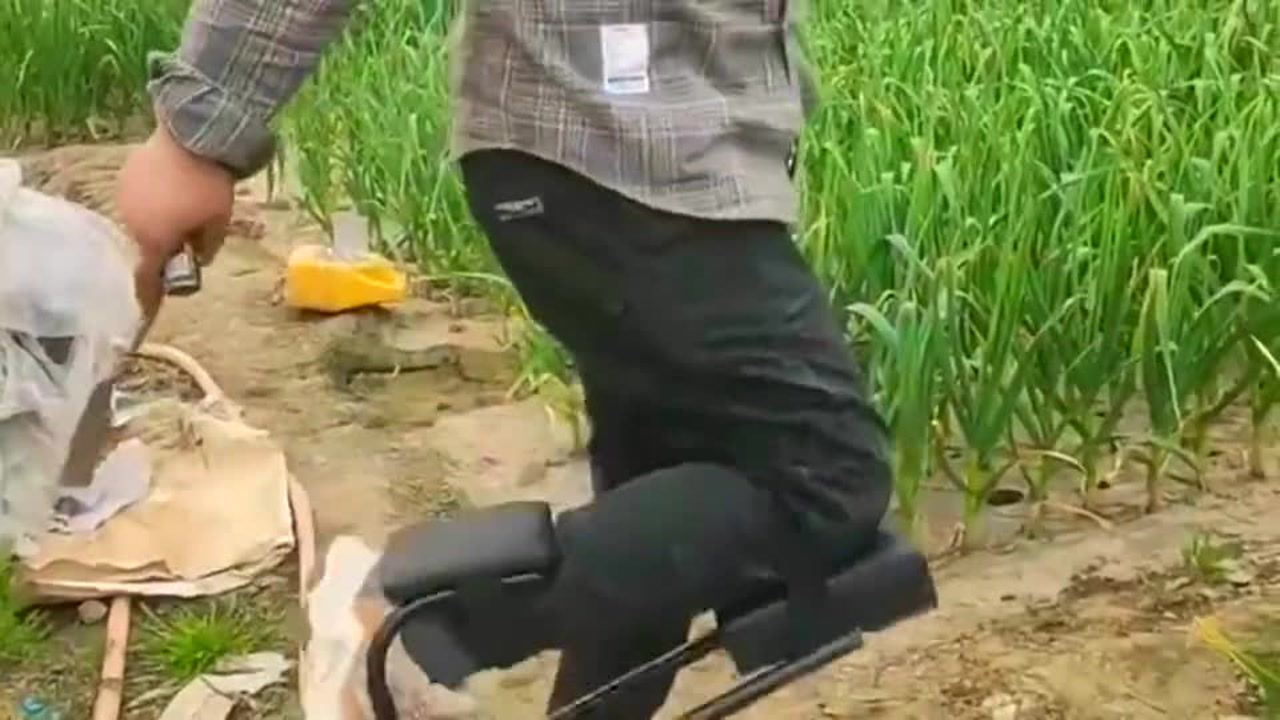 最新挖蒜工具，心靈與自然的完美交融