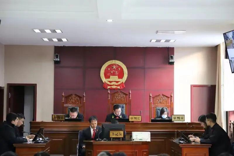 偏關最新案件深度解析，揭示真相，關注社會公正與公平