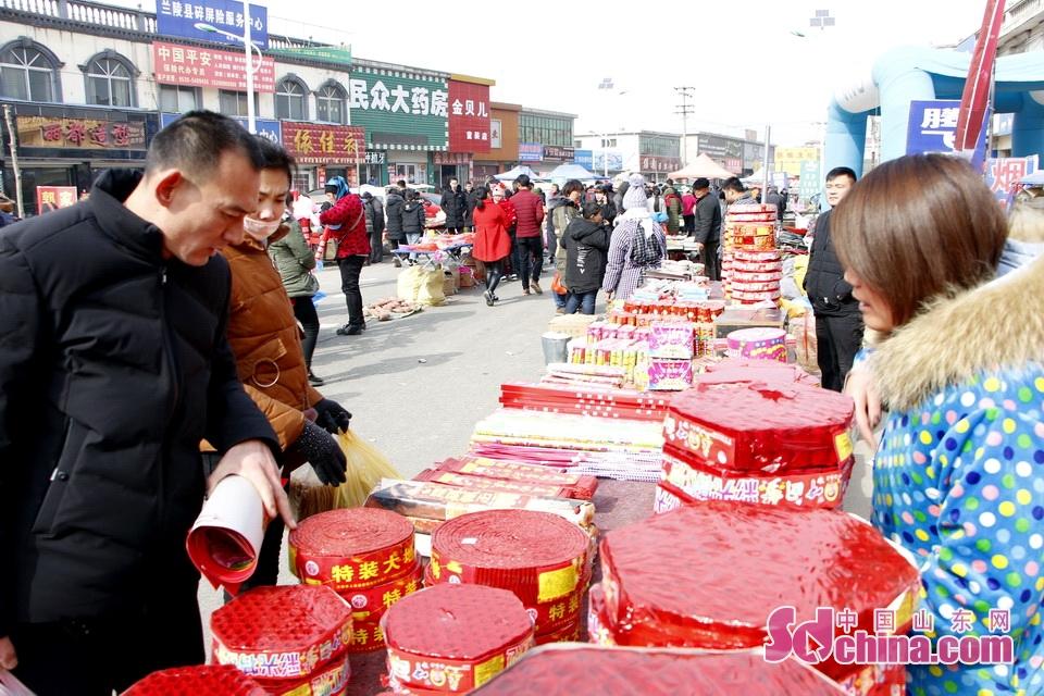 淘元素最新，淘淘的奇妙冒險(xiǎn)之旅與友情的溫暖體驗(yàn)