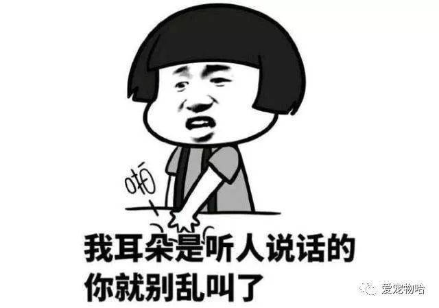 最新枕邊笑話(huà)，科技小寶貝，生活添樂(lè)趣