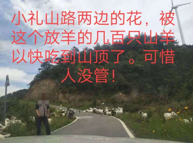 大悟最新路，探索未知，自信成就夢想之旅的啟程