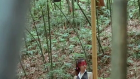 原野小年最新風(fēng)情，小巷深處的獨特魅力