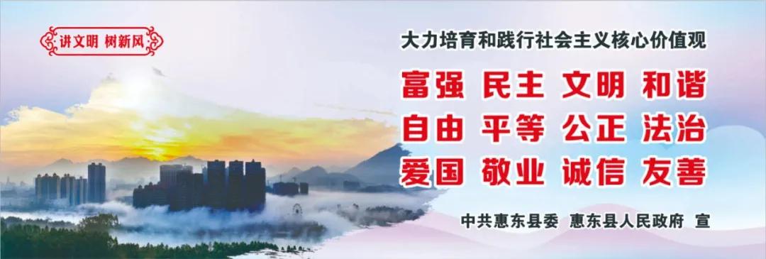 惠州肺炎最新動態(tài)，小巷深處的獨特小店背后的故事
