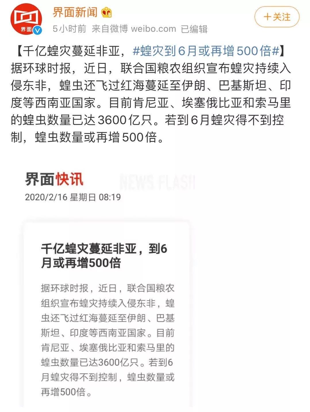 世界蝗災(zāi)最新動態(tài)，探索自然美景的輕松之旅