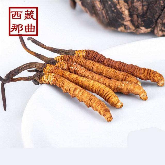 揭秘2025年蟲草最新價格，探尋小巷中的秘密行情！